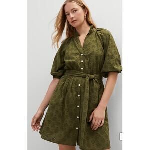 Ann Taylor 4 Petite Olive Green Eyelet Ruffle Neck Flare Shirt Dress Coquette